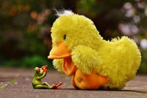 A plastic frog and stuffed duck 'talking'