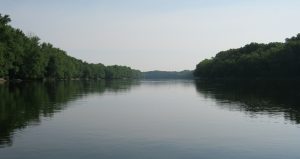 The Merrimack River with dense dark green forest on either side