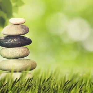 Pile of rocks on grass and a green blurry background