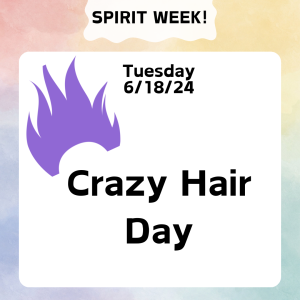 Purple hair sticking straight up above the words crazy hair day