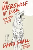 The Werewolf at Dusk: And Other Stories by David Small