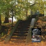 Stone stairs with leaves on them and trees next to them and a house at the top