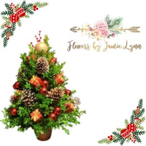 A boxwood tree with Christmas decorations next to the logo of flowers by Jamie Lynn